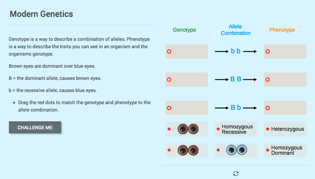 Modern Genetics Interactive Modern Genetics Interactive