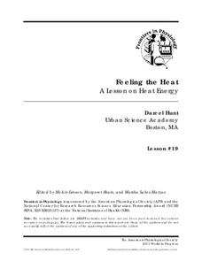 Feeling the Heat Lesson Plan Feeling the Heat Lesson Plan