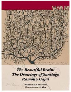 Beautiful Brain: Strangest Dream Lesson Plan Beautiful Brain: Strangest Dream Lesson Plan