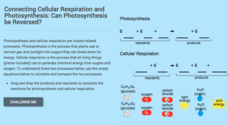 Cellular Respiration: Can Photosynthesis Be Reversed? Interactive Cellular Respiration: Can Photosynthesis Be Reversed? Interactive