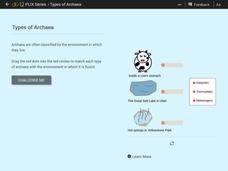 Types of Archaea Interactive Types of Archaea Interactive