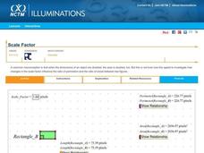 Scale Factor Interactive Scale Factor Interactive