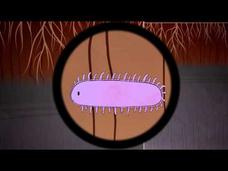 The Hidden Perils of Permafrost Instructional Video The Hidden Perils of Permafrost Instructional Video