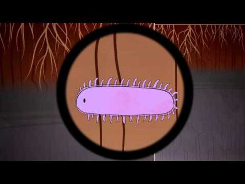 The Hidden Perils of Permafrost Instructional Video The Hidden Perils of Permafrost Instructional Video