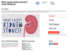 What Causes Kidney Stones? Instructional Video What Causes Kidney Stones? Instructional Video