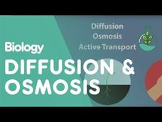 Transport in Cells: Diffusion and Osmosis Instructional Video Transport in Cells: Diffusion and Osmosis Instructional Video