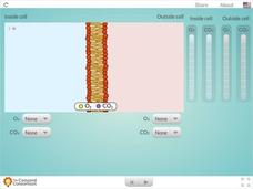Diffusion Across a Permeable Membrane Interactive Diffusion Across a Permeable Membrane Interactive
