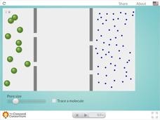 Diffusion Across Semipermeable Membranes Interactive Diffusion Across Semipermeable Membranes Interactive
