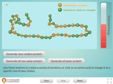 Protein Folding Exploring Interactive Protein Folding Exploring Interactive