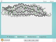 Tire Forces Interactive Tire Forces Interactive