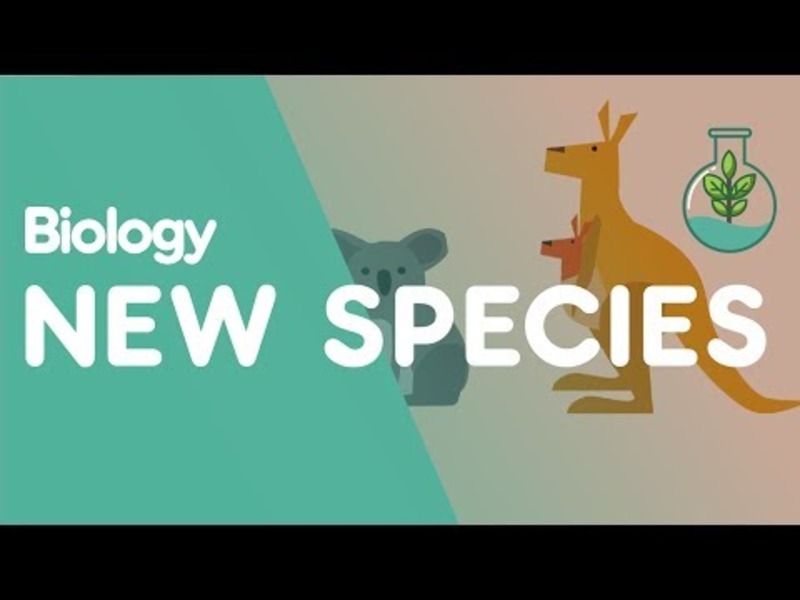 Formation of New Species by Speciation Instructional Video Formation of New Species by Speciation Instructional Video