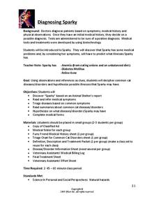 Diagnosing Sparky Lesson Plan Diagnosing Sparky Lesson Plan