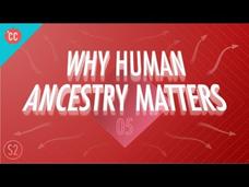Why Human Ancestry Matters: Crash Course Big History #205 Instructional Video Why Human Ancestry Matters: Crash Course Big History #205 Instructional Video