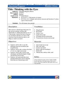 Thinking with the Eyes Lesson Plan Thinking with the Eyes Lesson Plan