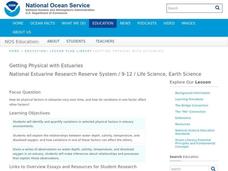 Getting Physical with Estuaries Lesson Plan Getting Physical with Estuaries Lesson Plan