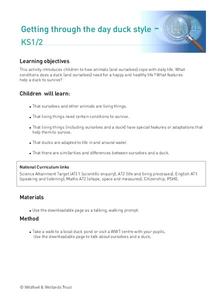 Getting through the day duck style Lesson Plan Getting through the day duck style Lesson Plan