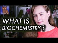 What Is Biochemistry? Instructional Video What Is Biochemistry? Instructional Video