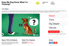 Does My Dog Know What I'm Thinking? Instructional Video Does My Dog Know What I'm Thinking? Instructional Video