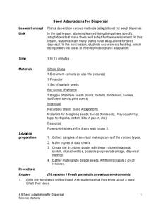 Seed Adaptations for Dispersal Lesson Plan Seed Adaptations for Dispersal Lesson Plan