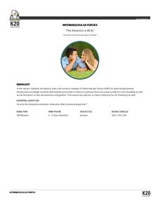The Attraction is REAL Lesson Plan The Attraction is REAL Lesson Plan