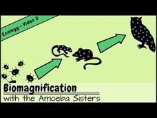 Biomagnification and the Trouble with Toxins Instructional Video Biomagnification and the Trouble with Toxins Instructional Video