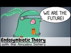 Endosymbiotic Theory Instructional Video Endosymbiotic Theory Instructional Video