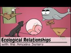 Ecological Relationships Instructional Video Ecological Relationships Instructional Video