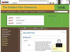 Give Me Five! Lesson Plan Give Me Five! Lesson Plan
