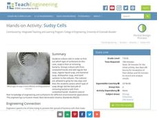 Sudsy Cells Activity Sudsy Cells Activity