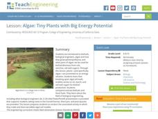 Algae: Tiny Plants with Big Energy Potential Lesson Plan Algae: Tiny Plants with Big Energy Potential Lesson Plan