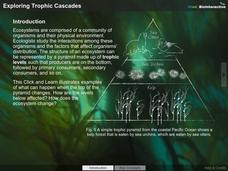 Exploring Trophic Cascades Interactive Exploring Trophic Cascades Interactive
