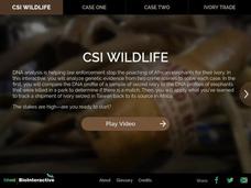 CSI Wildlife Interactive CSI Wildlife Interactive