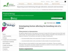 Investigating Factors Affecting the Breathing Rate of a Locust Lesson Plan Investigating Factors Affecting the Breathing Rate of a Locust Lesson Plan