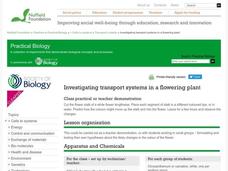 Investigating Transport Systems in a Flowering Plant Lesson Plan Investigating Transport Systems in a Flowering Plant Lesson Plan