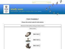 Grains Vocabulary Interactive Grains Vocabulary Interactive