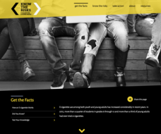 Get the Facts on E-Cigarettes Website Get the Facts on E-Cigarettes Website
