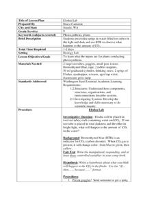 Elodea Lab Lesson Plan Elodea Lab Lesson Plan