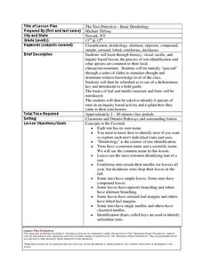 The Tree Detective - Basic Dendrology Lesson Plan The Tree Detective - Basic Dendrology Lesson Plan
