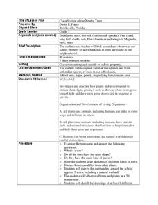 Classification of the Nearby Trees Lesson Plan Classification of the Nearby Trees Lesson Plan