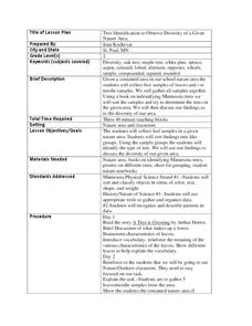 Tree Identification to Observe Diversity of a Given Nature Area Lesson Plan Tree Identification to Observe Diversity of a Given Nature Area Lesson Plan