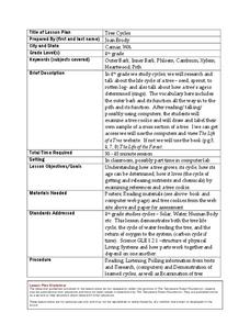 Tree Cycles Lesson Plan Tree Cycles Lesson Plan