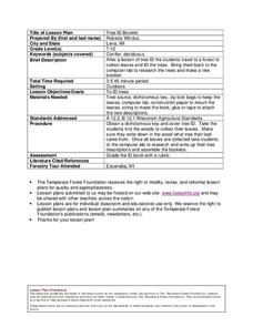 Tree ID Booklet Lesson Plan Tree ID Booklet Lesson Plan