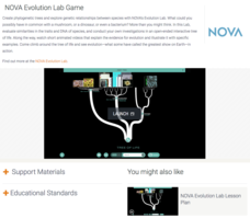 NOVA Evolution Lab Game Interactive NOVA Evolution Lab Game Interactive