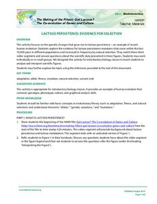 Lactase Persistence: Evidence for Selection Activity Lactase Persistence: Evidence for Selection Activity