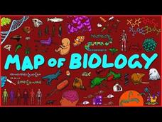 The Map of Biology Instructional Video The Map of Biology Instructional Video