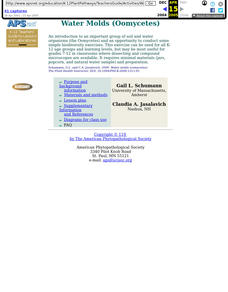 Water Molds (Oomycetes) Lesson Plan Water Molds (Oomycetes) Lesson Plan