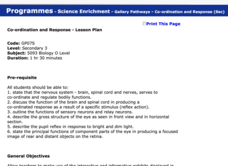 Co-ordination and Response - Lesson Plan Lesson Plan Co-ordination and Response - Lesson Plan Lesson Plan
