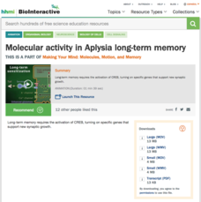Molecular Activity in Aplysia Long-Term Memory Video Molecular Activity in Aplysia Long-Term Memory Video