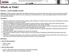 Whale or Fish? Lesson Plan Whale or Fish? Lesson Plan
