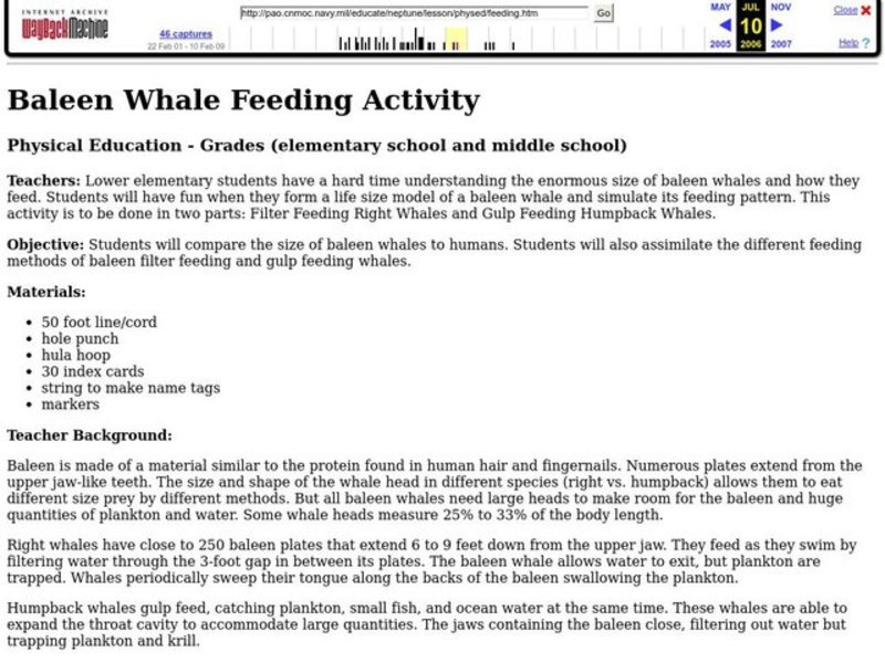Baleen Whale Feeding Activity Lesson Plan Baleen Whale Feeding Activity Lesson Plan